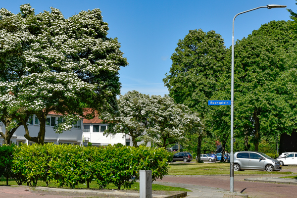 Rochtplein in Assen